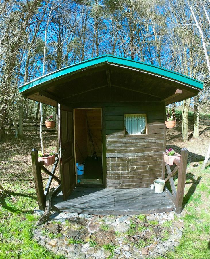 Agroturystyka Strzebielino Buitenkant foto